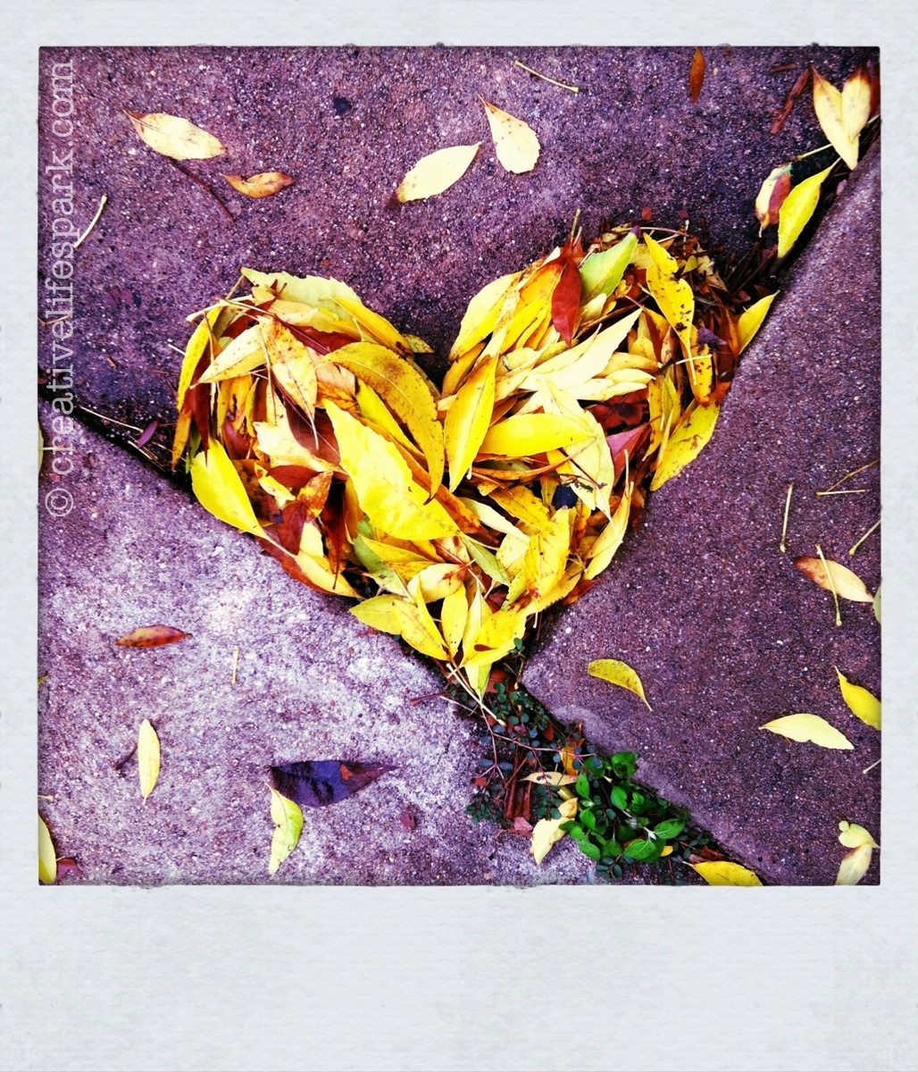 rainy leaf heart #tinycreativeacts