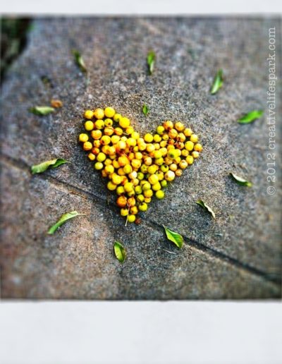Chinaberry heart #tinycreativeacts