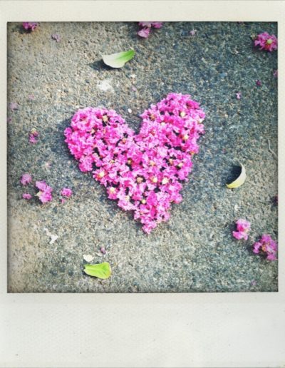 Fallen Flowers #tinycreativeacts