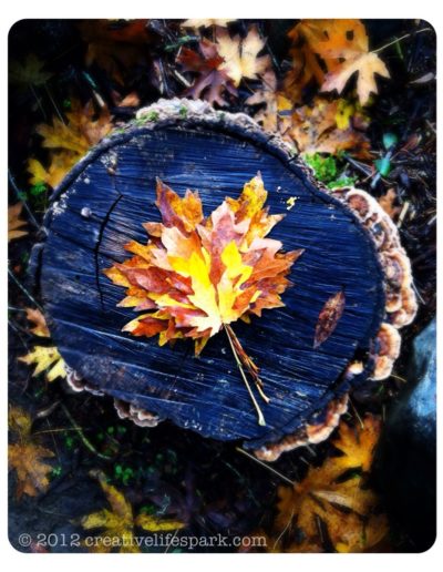 Layered Leaves #tinycreativeacts