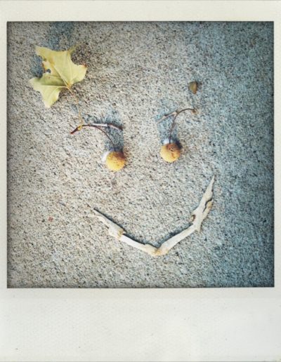 Sycamore Smile #tinycreativeacts